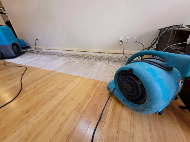 Professional Water Extraction technician working in Sunbury, OH